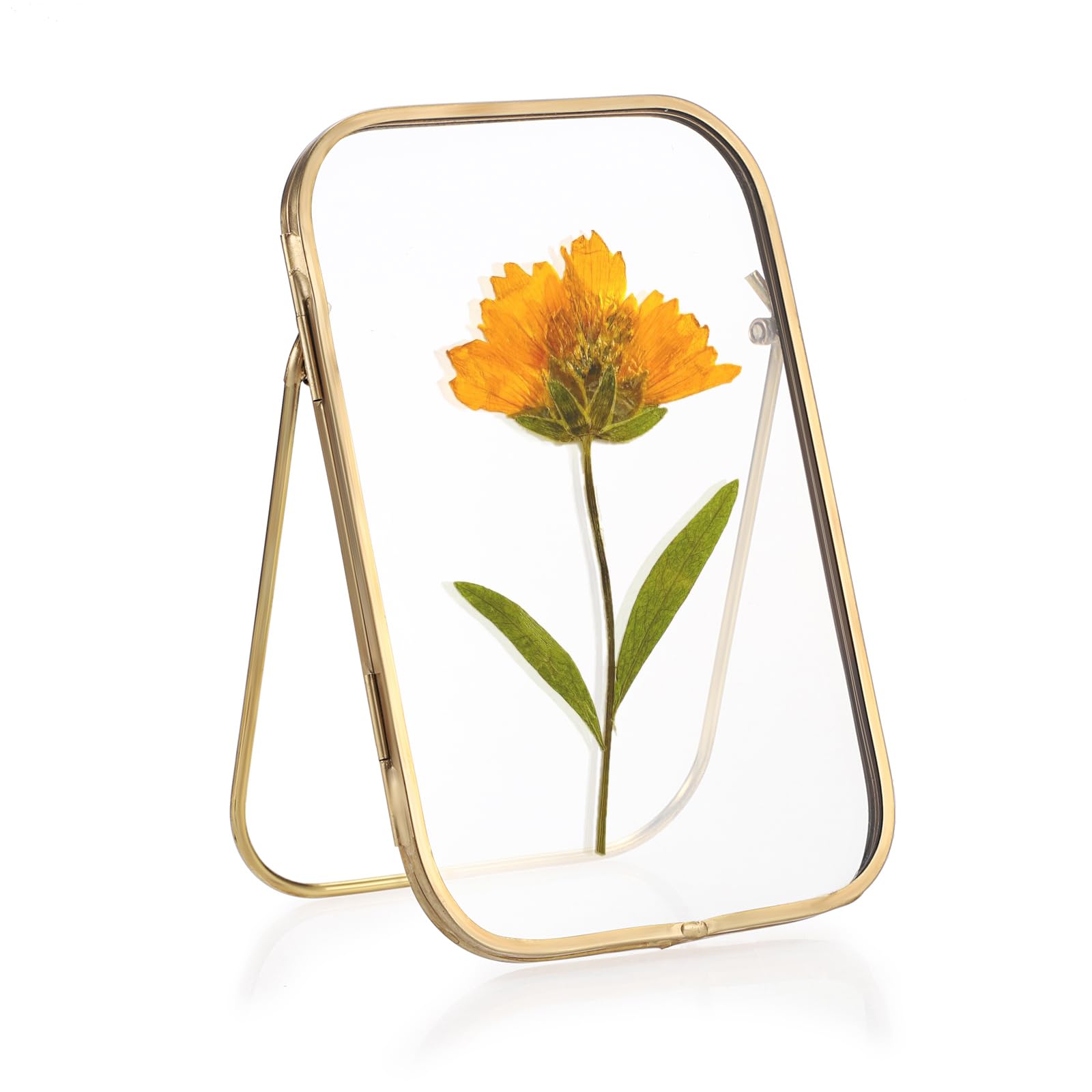 Photo 1 of JUXYES 4x6 Inch Tabletop Brass Photo Frame - Rectangular Double Glass Desktop Frame for Pressed Flower, Double Sided Glass Artwork Display