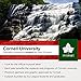Barnesmith Cornell University Short-Sleeve T-Shirt, Crest, Red, Medium