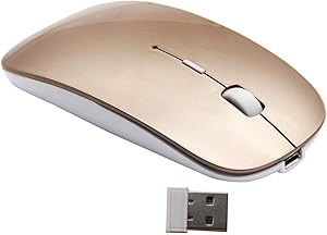 Smart-US 43235-62112 2.4G Rechargeable Mobile Portable Wireless Optical Mouse with USB Receiver, Mute Type Mice, 3 Adjustable DPI Levels, for Notebook, PC, Laptop, Computer, MacBook by (Gold)