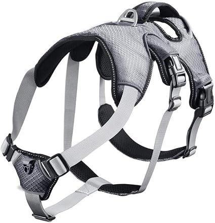 Dogkldsf Laisse Pour Chien Harnais Moyen De Gros Chien Pour