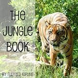 Bargain Audio Book - The Jungle Book