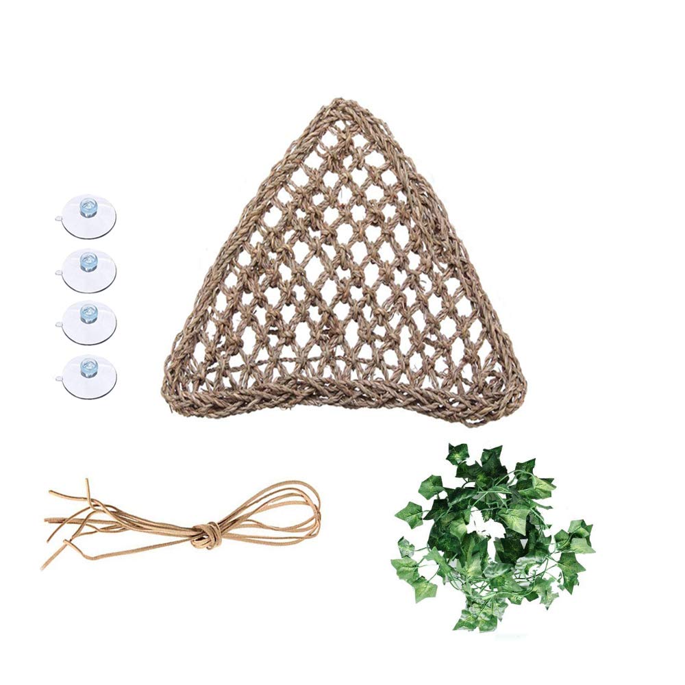 Best Reptile Hammock Bearded Dragon