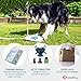 GoodBoy Water Fountain for Dogs – Interactive Paw Pedal Design Stimulates Pets and Keeps Them Cool – New Durable Leak-Proof Dispenser – Keeps Furry Friends Healthy Happy and Hydrated!