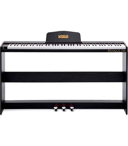 Piano Casio Privia PX770 88 Teclas Digital Preto Com Fonte