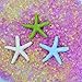 LJY 25 Pieces Multi-Colored Resin Pencil Finger Starfish for Wedding Decor, Home Decor and Craft Project, 2.3 Inches