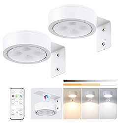 2-Pack Picture Light Battery Operated, LED Painting