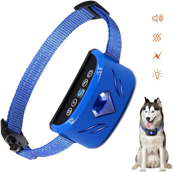 Dog buzzer collar Clearance