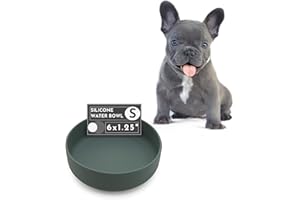 Should We Go? The Perfect Dish - Durable Dog Water Bowl - No Spill - Less Mess Non-Tippable Water & Food Bowl, Pure Silicone, Spill Proof with Suction Cup, Suitable for All Pets, Small-Spruce