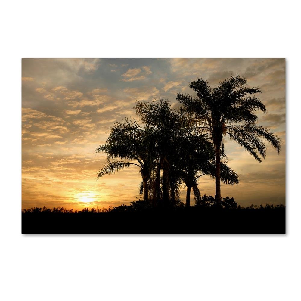 Trademark Marca Fine Art Sunrise experinemt decoración de la Pared ...