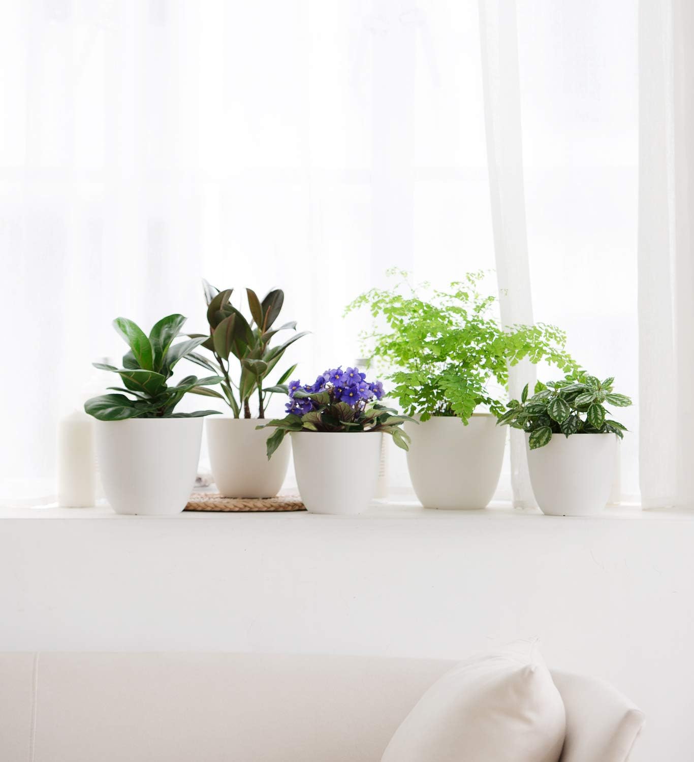 Mkono Plastic Planters with Saucers, Indoor Set of 5 Flower Plant Pots Modern Decorative Gardening Pot with Drainage for All House Plants, Herbs, Foliage Plant, and Seeding Nursery, Cream White, 6.5": Garden & Outdoor