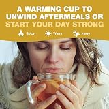 HANDPICK Ginger Tea Bags 100 Count Non GMO Pure Ingredients view 5