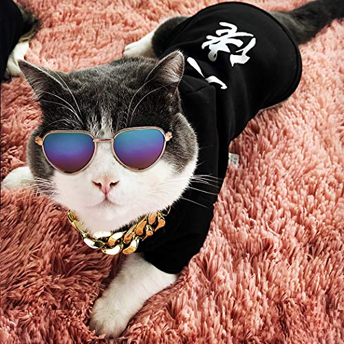 Legendog Cool Cat Dog Costume Fashion Metal Pet Dog Collar Cat Sunglasses Pineapple Print Dog Shirt for Cats and Small Dogs Adjustable Gold Dog Puppy Chain Collar Set (Multicolor1)