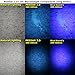 PeeDar 2.0 UV Pet Urine Detector Black Light LED Flashlight + Cat & Dog Behavior Guide. Ultra Bright Optimal 380-385NM Wavelength Finds Invisible Stains Instantly! Stop Pet Pee Issues Forever