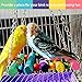 Bird Parrot Toys - Bird Hanging Shredding Swing Chew - Birds Ladder Bell Toys for Conure, Parakeets, Mynah, Cockatiel Macow, Coconut Bird, Love Birds