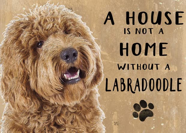 Small (150 x 200mm) Metal Sign - A House is Not a Home - Labradoodle