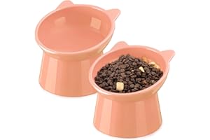 Zhehao 2 Pieces Plastic Raised Bowl Tilted 15 Degrees Elevated Cat Food and Water Bowls Set Anti Vomit Dog Kitten Food Dishes Pet for Cats and Small Dogs (Cat Ears,Peach)