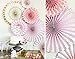 My Mind's Eye Paperlove, Pink, White, Gold Double-Sided Party Fans and Confetti, Set of 6 Fans + 1 Tube of Confetti