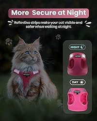 FAYOGOO Cat Harness and Leash Set, Escape