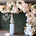 Balloon Garland Arch Kit, White Gold Confetti Balloons 101 PCS, Artificial Palm Leaves 6 PCS, Balloons for Parties, Party Wedding Birthday Balloons Decorations, Baby Shower Decorations for Girl Boy primary