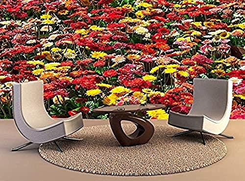 Murales De Pared Foto Mural De Pared Coloridas Flores De Gerbera