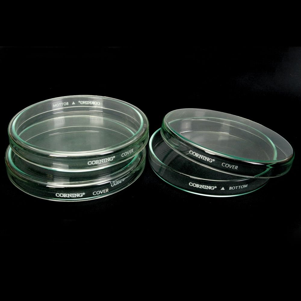 Corning Petri Dishes, 100 x 20 mm, Pack of 12 Science Lab Petri Dishes