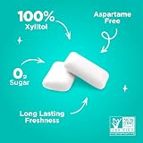 PUR Gum Sugar Free Wintergreen Xylitol Vegan 55 Pieces Pack of 6 view 4