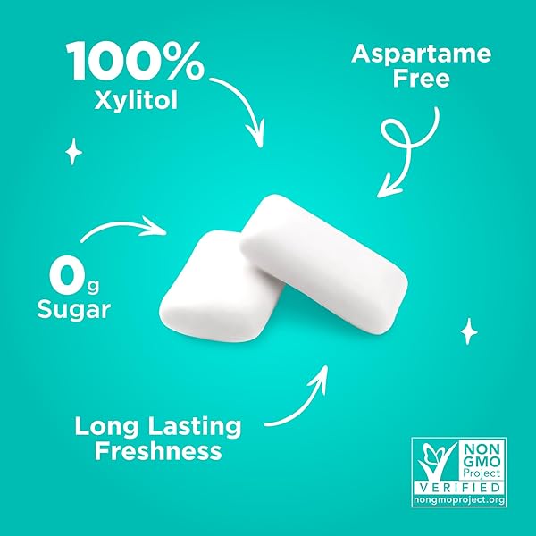 PUR GUM | ASPARTAME FREE CHEWING GUM | 100% XYLITOL | NATURAL WINTERGREEN FLAVORED GUM, 55 PIECES (PACK OF 1)