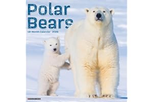 2026 Polar Bears 12 x 12 Wall