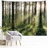 PROCIDA Home Tapestry Wall Hanging Nature Art Polyester Fabric Tree Theme, Wall Decor for Dorm Room, Bedroom, Living Room, Nail Included - 90" W x 71" L (230cmx180cm) - Sunlight Forest