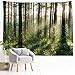 PROCIDA Home Tapestry Wall Hanging Nature Art Polyester Fabric Tree Theme, Wall Decor for Dorm Room, Bedroom, Living Room, Nail Included - 90" W x 71" L (230cmx180cm) - Sunlight Forest primary