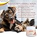 Dr. Mercola, Curcumin, for Cats and Dogs, 4.30 oz (122.1 g)