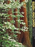 Sequoia and Kings Canyon: A Place Where Giants Dwell (A 10x13 Book©) by 