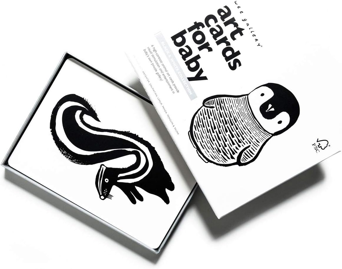 Amazon Com Wee Gallery Art Cards For Baby High Contrast 0 12