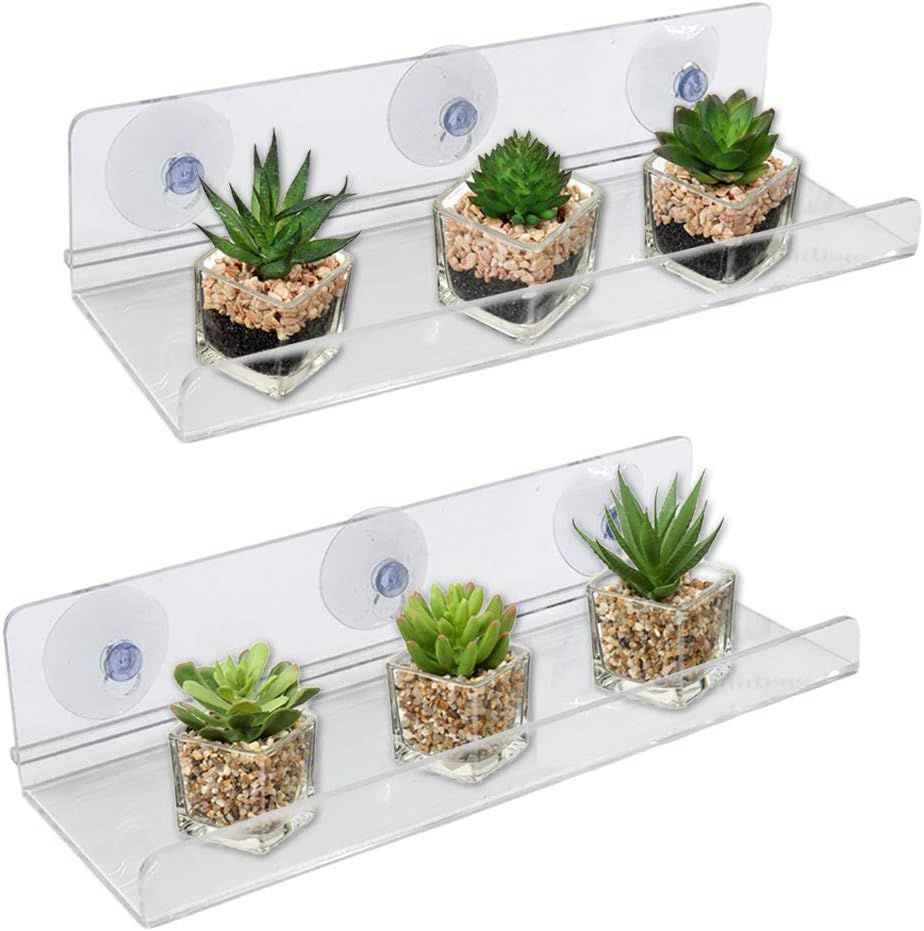 Tree 2 Pack Ledge Suction Cup Shelf Ledge Acrylic 12 Inch