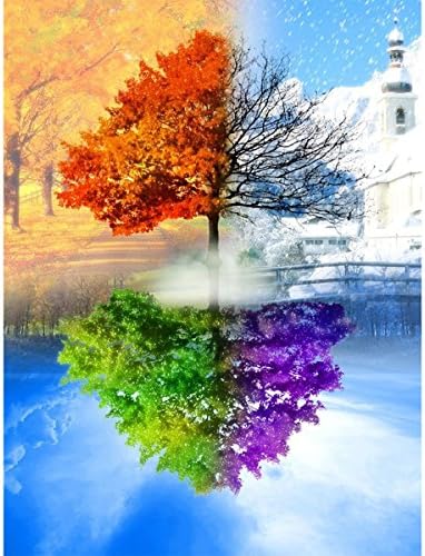 INSANY DIY 5D Diamond Painting Kit, Full Diamond Season Tree Embroidery Rhinestone Cross Stitch Arts Craft Supply for Home Decoration（14X18inch/35X45CM