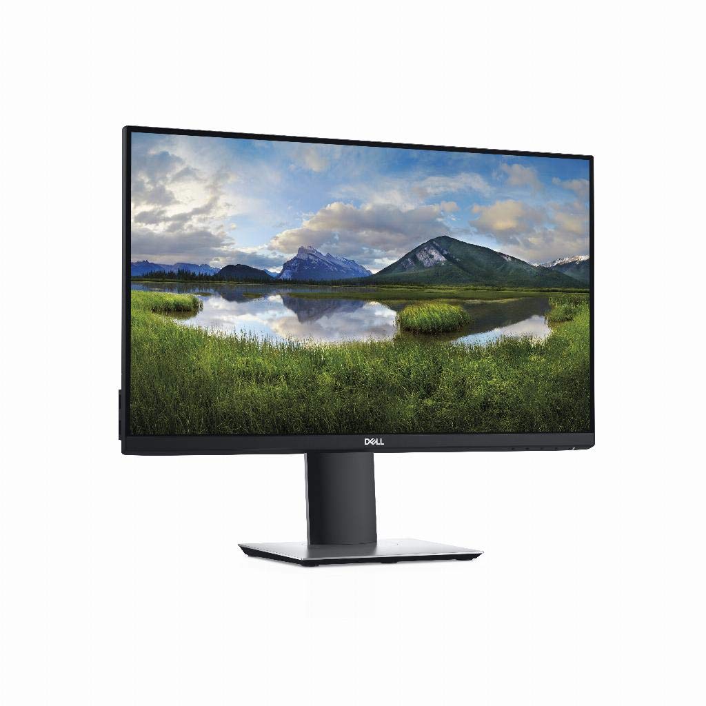 Dell 24 USB-C Monitor P2421DC 60.5cm 23