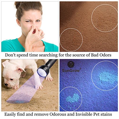 image for SunGrow UV Flashlight for Pet Urine - Handheld Blacklight for Bed Bugs