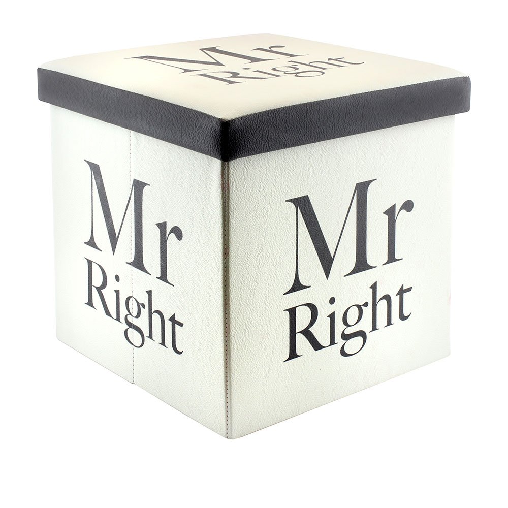 Leonardo LP27683 Mr Right Folding Storage Box