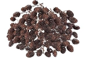 SunGrow 100 Alder Cones for Shrimps, Aquarium Water Conditioner, Promote Breeding in Freshwater Tanks, Aid in Shrimp Healing 