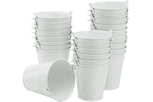 25 Pack 4 Inch White Iron Pail, Metal Buckets with Handle, Easter Bucket,Pencil Holder and Flower Pots, Used to Carry, Store, or Even Plant, by GENHAKON.