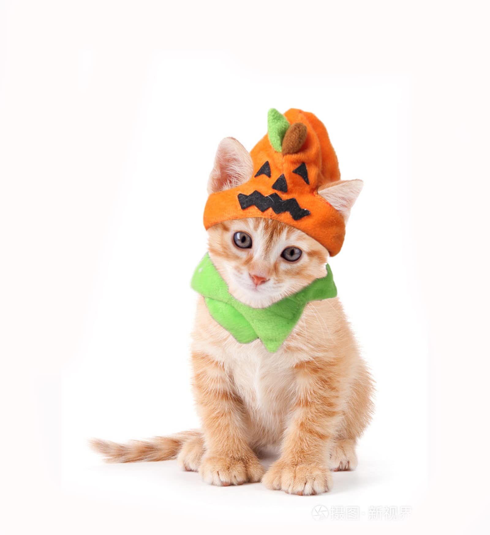 Faxianther Halloween Pumpkin Cat Hat Adorable Pet Kitten Halloween Costume Accessories Cosplay Cap Festival Party Headwear with Adjustble Collar