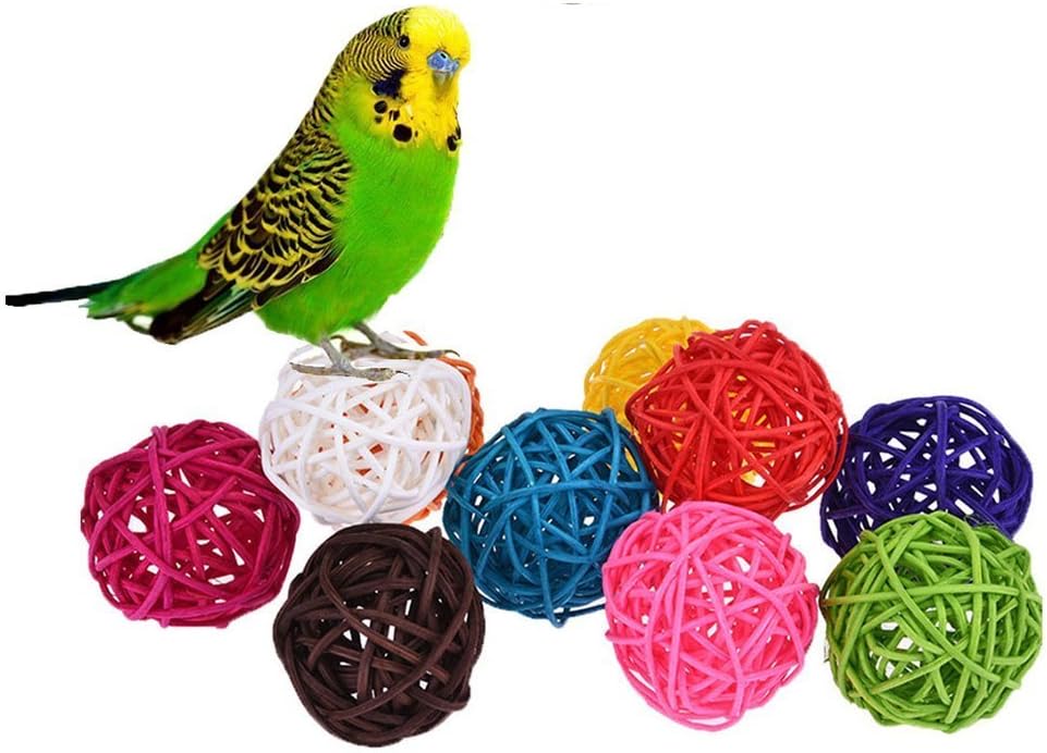 macaw toys diy