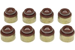 Victor Reinz SS45626 Engine Valve Stem Oil Seal Set