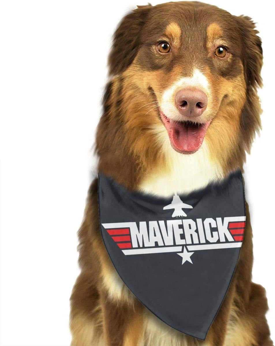 top gun maverick dog collar