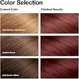 Revlon ColorSilk Beautiful Color 49 Auburn Brown Hair Dye Ammonia-Free Gray view 2