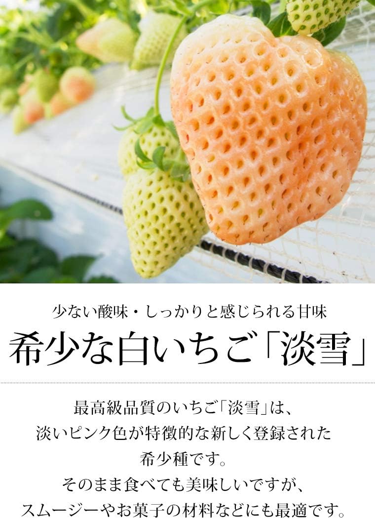Amazon いちご 淡雪 Dx 2パック 白いちご Jaさが 佐賀 ヨグモグ いちご 通販