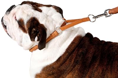 CollarDirect Rolled Martingale Dog Collar, Soft Padded Handmade Genuine Leather Martingale Collars for Dogs, Puppy Small Medium Large