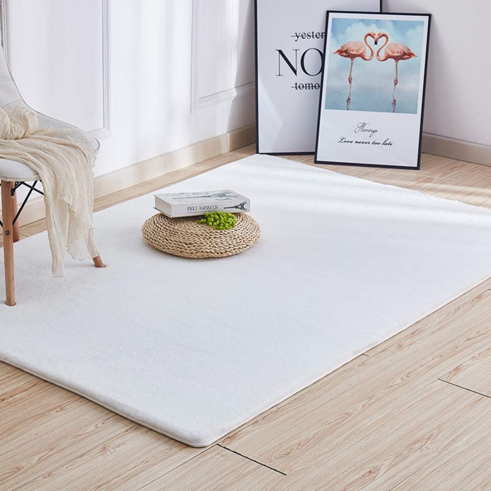 WYMBK Furry Living Room Area Rug,thicken Faux Rabbit Fur Fluffy Rug,plush Stain-resistant Shaggy Rug,ultra Soft Decor Bedroom Rug,kids Play Carpet Blanco 100x200cm(39x79inch)