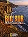 Big Sur: Wild California