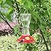 Twinkle Star 20-Ounce Hanging Hummingbird Feeder with 4 Feeding Ports
